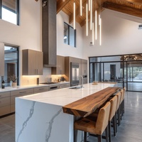 Superbe armoire de cuisine aux designs modernes Barndominium Finition élégante personnalisée