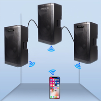 Haut-parleurs Bluetooth portables de 15 pouces pour conférences, scène, amplificateur DSP, haut-parleur Bluetooth sans fil actif professionnel