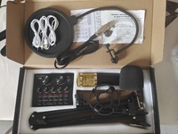 Set microfono a condensatore Gam-800g per PC, canto, giochi, YouTube, TikTok, scheda audio, registrazione live, set microfono a condensatore