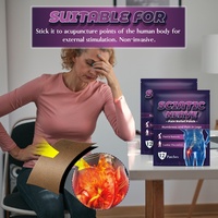 Sumifun – Patchs auto-chauffants transfrontaliers sans chauffage requis pour le soulagement de la douleur, soin de la sciatique, points d'acupuncture, vertèbres lombaires – 12 unités