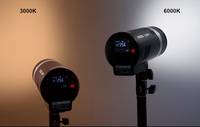 Flash professionnel portable tout-en-un Godox AD300 Pro pour extérieur TTL2.4G 300W 1/8000 HSS avec batterie Li et alliage d'aluminium sans fil