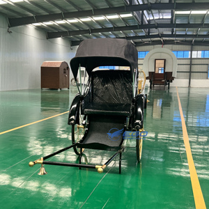 Rickshaw, Carroza de Caballos de 2 Ruedas, Transporte Especial, Carroza de Poni en Venta - Product Image 5