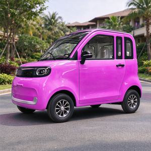 Voiture électrique 2 places pour hôtel de charme, avec 6 unités, 40HQ <span class=keywords><strong>et</strong></span> pneus 125 60R12, certifiée COC - Product Image 5