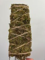 Poteau de mousse de coco plat pour plantes grimpantes