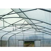 Projets clés en main culture hydroponique de tomates invernadero serre verte à vendre