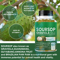 SUNI OEM/ODM Marque Privée Gummies Naturels de Corossol (Graviola) pour Hommes et Femmes, Soutien Immunitaire, Vente en Gros, Complément Alimentaire Superaliment