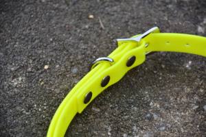 충전식 사냥 개 <span class=keywords><strong>Beeper</strong></span> 칼라 방수 개 훈련 칼라 내장 <span class=keywords><strong>Beeper</strong></span> 사운드 스포츠 훈련 사냥 칼라 - Product Image 4