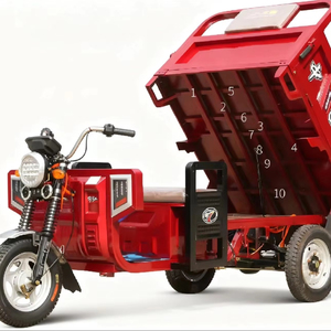 มอเตอร์ไซค์แบบเปิดประทุน ProDurable ดูแลรักษาง่าย สำหรับการใช้งานปกติ รองรับผู้โดยสาร 2 คน ความเร็ว 50-70 กม./ชม. ขับขี่มั่นคงและปลอดภัย - Product Image 1