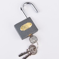 Rarlux utiliser la meilleure serrure Chine 50mm couleur grise peinte cadenas en fer à manille courte Durable 3 clés en acier cylindre en laiton massif