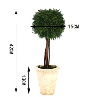 Topiaire sphérique en cyprès préservé de 42 cm de hauteur, plante artificielle réaliste en forme de cyprès, ornement décoratif pour l'intérieur et l'extérieur