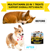 Complément alimentaire quotidien 20-en-1 pour chiens : 100 friandises à mâcher multivitaminées saveur bœuf pour l'immunité, la santé intestinale, les articulations, le foie, la peau et le pelage, avec Oméga-3