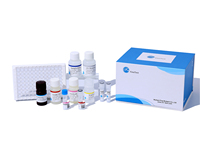 Kit humain du pro-BDNF (le pro cerveau a dérivé le facteur neurotrophique) ELISA