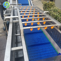 Machine à laver les fruits et légumes de qualité alimentaire, usage commercial et industriel