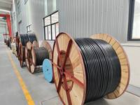 Yjv32 0,6/1kv 4x16-185mm2 Konstruktion Standard-Stromkabel Cu XLPE SWA PVC 60502 4x35 4x70 4x95 4x120 4x150 4x185 4x150 4x185