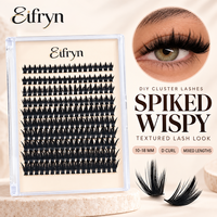 Kit de cils en grappe Eifryn de haute qualité, vente en gros, logo personnalisé, adhésif, longueurs mixtes, courbure D, effet wispy, kits d'extension de cils DIY