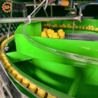 Nouvelle machine d'alimentation et de comptage automatique de bouchons de bouteilles en acier inoxydable, alimentée par moteur 220V, avec alimentateur linéaire personnalisé