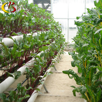 Systèmes de culture hydroponique verticale en serre sans terre Foshan Kunyu pour la plantation de légumes et de laitues