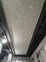 Kits de lumière de fibre optique de bricolage de plafond d'étoile de panneau de fibre optique de LED avec l'effet de scintillement