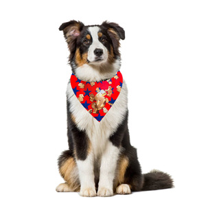 Dog Bandana Triangular Skull Pattern Warm Pet Scarf For Dogs And Cats All Seasons Accessory - Product Image 2