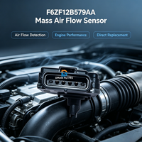 Capteur de débit d'air massique (MAF) pour moteur de voiture, style populaire, vente en gros, AF10117 245-2039 F6ZF12B579AA pour automobile