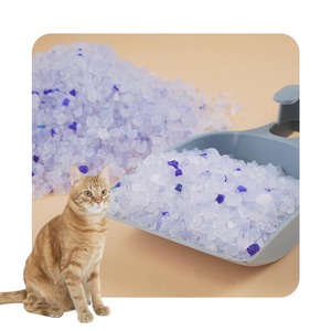 Oem Odm the Cheapest New Type Top Quality Proper Price High Absorption Silica Gel <b>Cat</b> <b>Litter</b> - Product Image 1