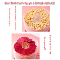 Hot Selling 10 Tray Voedsel Dehydrator Biomassa Dehydrator Machine Droger Vlokken Korrels Mini Dehydrator Voor Fruit