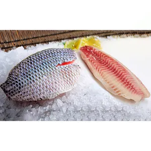 China Export 5 7 Unzen Tilapia-Filett Block schwarz Tilapia-Fischfilet niedriger Preis