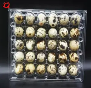 wholesale 30 cells PET plastic blister egg carton transparent quail egg tray for sale