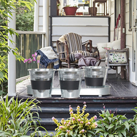 Ensemble de jardinières pour plantes aromatiques d'intérieur et d'extérieur Pots de plantes en métal avec rebord de fenêtre et plateau Pots polyvalents pour herbes aromatiques et fleurs
