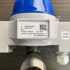 ตัวควบคุมการไหลแบบกลไกใหม่สำหรับ Clean Krohne DW181 ซีรีส์ - Product Image 3