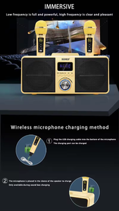 Bán Như Hot Bánh Sd309 Tùy Chỉnh 2023 Chất Lượng Cao Sub Woofer Máy Tính Để Bàn Bt Với Không Dây Microphone SDCD Loa Karaoke - Product Image 3