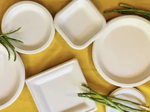 गन्ना खोई पेपर पल्प ढालना Biodegradable प्लेटें थोक डिस्पोजेबल प्लेटों 9 इंच