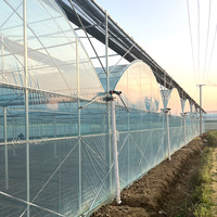 Serre agricole double couche à simple travée, grande taille, prix de gros abordable, tunnel en polyéthylène 3060 mm pour la culture de légumes