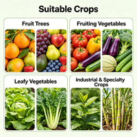 Engrais liquide à base d'acides aminés, chélaté de magnésium, calcium, bore, zinc, pour le développement des racines, l'élure des feuilles, la croissance des fruits