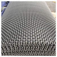 Maille métallique ondulée en acier 65Mn résistante aux chocs, maille filtrante industrielle, maille de fil d'acier coupée, accessoires pour machines minières