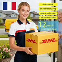 Agent d'expédition DDP Europe pour scooters électriques et motos en France, services de transport de fret, assurance transit 45-50 jours