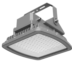 80w Led Explosion Proof Spot Luminaires Anti Explosion Flood Light For Mining Lighting