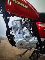 Motocyclettes/Scooters à essence polyvalents CHL pour adultes |   Moteur 125cc 4 temps refroidi par air >80 km/h vitesse maximale Utilisation hors route et sur route