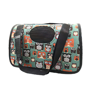 Pet Carrier Soft-Sided Cartoon Bear Pattern Portable Travel Bag For Dogs Cats Kitten Carrier With Side Opening - Product Image 2