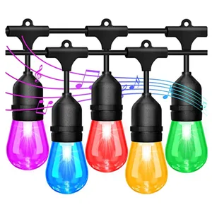 Banqcn Holiday lighting Dream Colour Outdoor Wifi App RF433 Control 15M/49FT RGBWIC LED bulbs String Light 10W