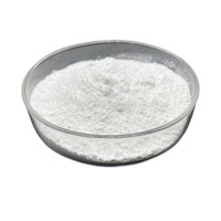 Polvo de Nano ZnO de Grado Industrial de Alta Pureza 99.7% X G para Aplicaciones de Recubrimientos, Directo del Fabricante