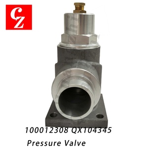 Vanne de pression OEM 100012308 QX104345 pour compresseur d'air Compair Garantie 1 an Haute qualité - Product Image 1
