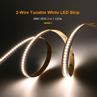 Bande LED intelligente avec garantie de 3 ans, SMD2835 PCB, blanc réglable 2 en 1, 12V 24V, dimmable 3000K-6500K, éclairage décoratif intérieur pour la maison