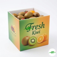 Op maat gemaakte PP plastic waterdichte golfkartonnen doos voor fruit- en groentevervoer, opvouwbaar en geschikt voor opslag