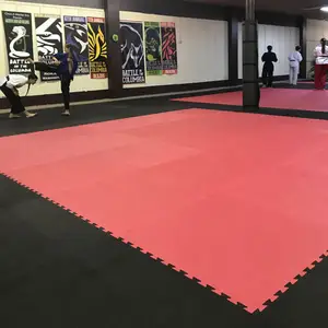 Sansd WKF haute ténacité bleu et rouge XPE mousse tapis de karaté matériel Arts tapis