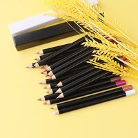 Maquillage des lèvres de haute qualité, 20 couleurs de crayons à lèvres, sans cruauté, crayons à lèvres nude marron, logo personnalisé, maquillage des lèvres