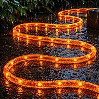 Guirlande lumineuse de Noël arc-en-ciel, cordon lumineux de 220V 13MM, faible consommation d'énergie, IP65, guirlande lumineuse LED pour jardin, bande flexible LED néon