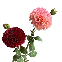 Fleur de Dahlia Corail à 2 Têtes Hydratante pour Mariage, Décoration Extérieure et Aménagement Paysager - Vente en Gros Transfrontalière