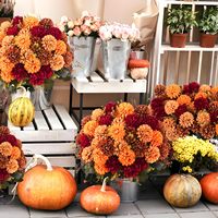 Fleurs artificielles réutilisables et lavables en forme de chrysanthèmes pour barbecue, foyer, salon, banc de jardin, véranda, décoration intérieure