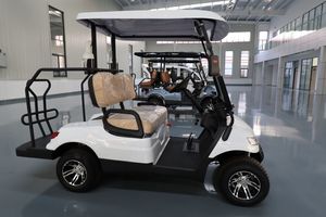 Voiturette de golf électrique <span class=keywords><strong>2</strong></span> places à <span class=keywords><strong>prix</strong></span> de gros, 4 roues motrices, mini-voiture électrique touristique pour hôtels et zones touristiques - Product Image 3